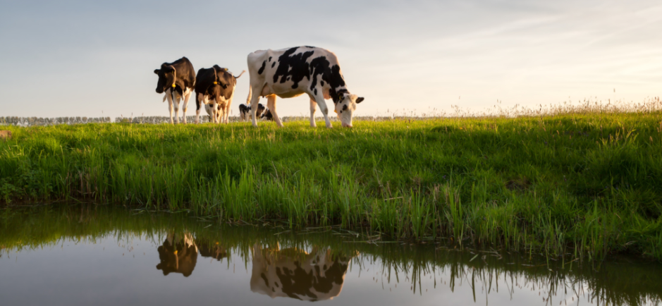 Samenwerking Weidenaar Worst & OptiVolt